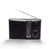 Radio de Pila y Corriente VS-R118