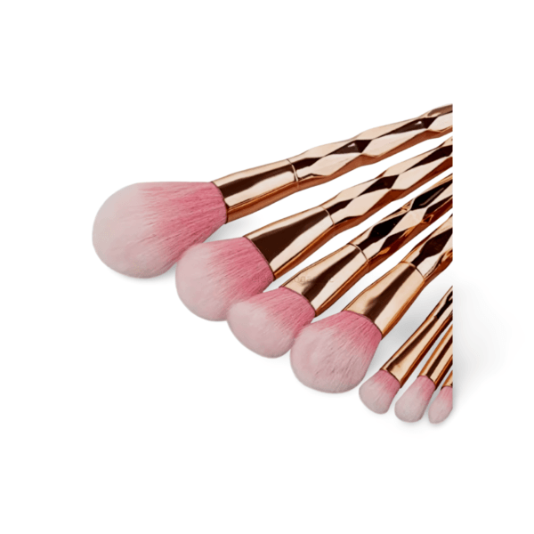Set de Brochas SL-1013