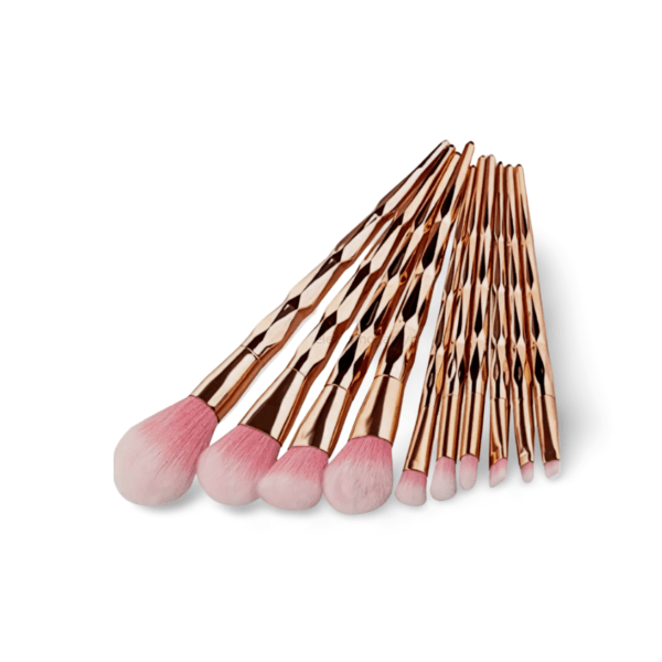 Set de Brochas SL-1013